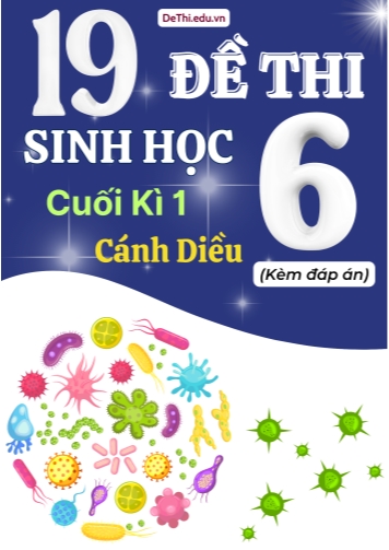 Tuyển tập 19 Đề thi cuối Kì 1 môn Sinh Học 6 sách Cánh Diều (Kèm đáp án)